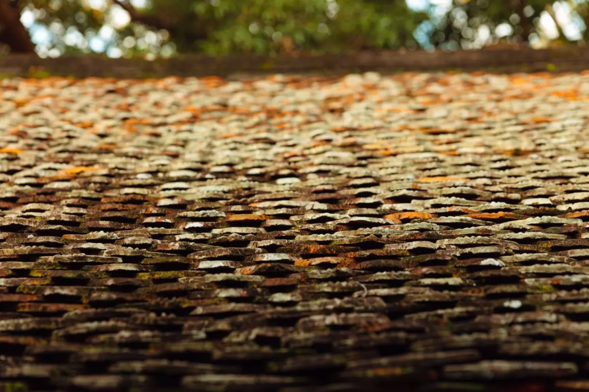 Aging shingle roof with moss growth and granule loss in Abilene, TX